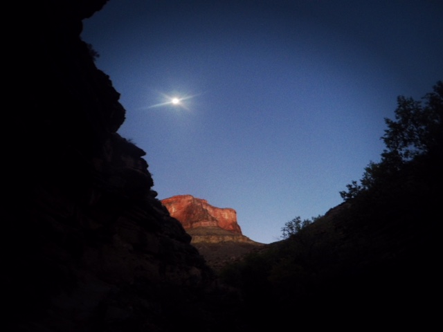 DCIM100GOPROGOPR1914.