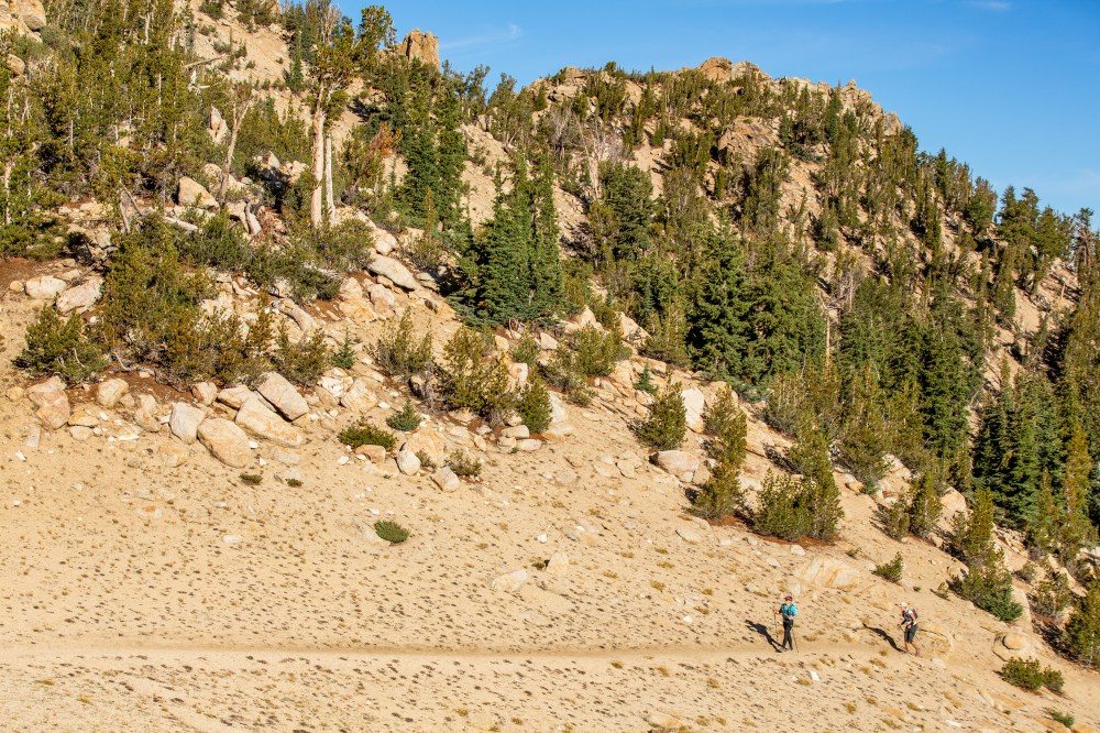 ScottRokis_18T200_SRP52644