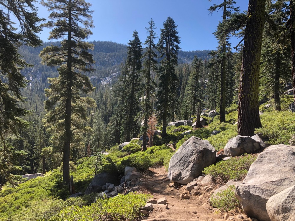 AiwV%nUNTMqSYSRNkCsIKA