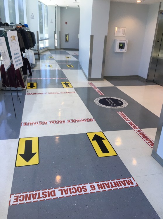 Follow The Yellow Brick Road